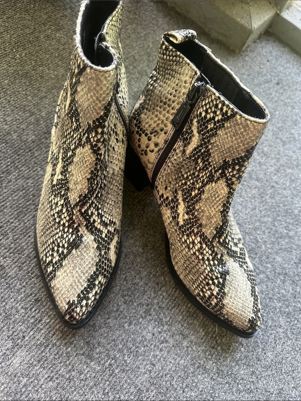 Blondo Snake-Print Pointed Ankle Boots - Black & Cream